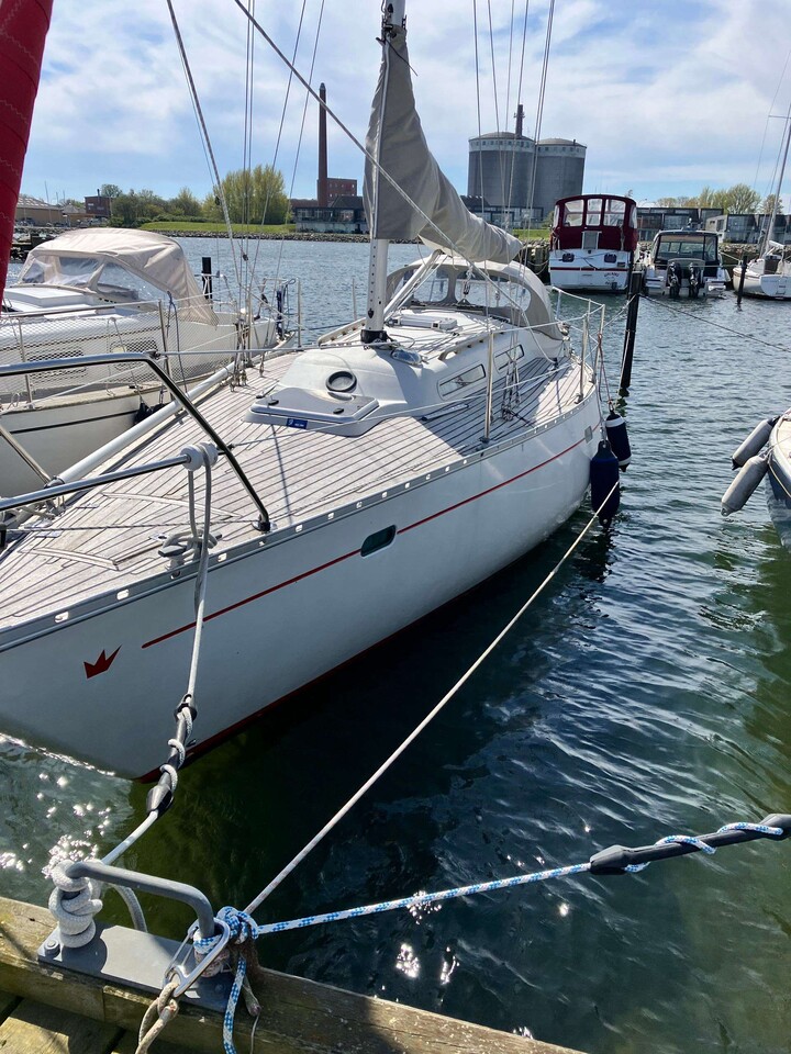 Bianca Yachts Blue LETH 32 - Bild 3