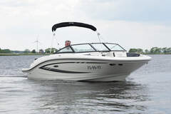 Sea Ray 19 SPX - picture 6