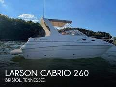 Larson Cabrio 260 - resim 1