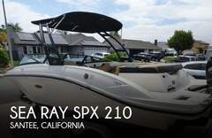 Sea Ray SPX 210 - resim 1