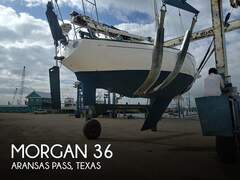 Morgan Out Island 36T - zdjęcie 1