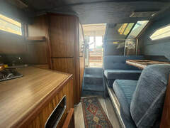 Sea Ray 300 Express Cruiser - picture 7
