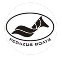 Logo Pegazus