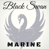 Logo Black Swan Marine